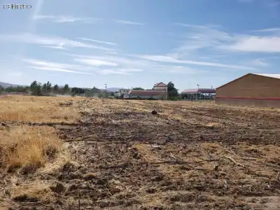 Land For Sale California     8500 Pearblossom Hwy, Littlerock CA 93534 