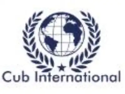 CUB INTERNATIONAL LTD image