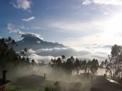 Lands Vendesi Otavalo      