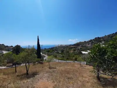 قطعة الارض للبيع Dimos Skopelos      