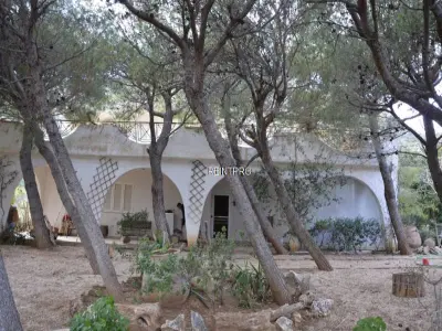 Villa For Sale Saronikos     Anavyssos 