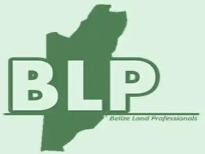 Belize Land Professionals image